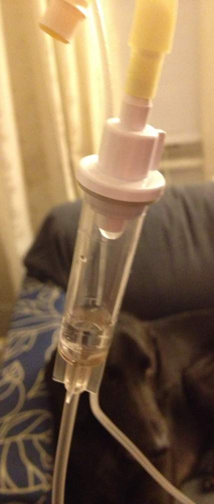 Photo 2013-03-11 11 06 30 PM