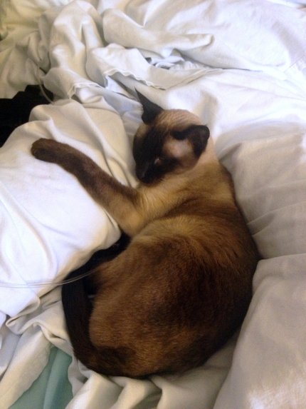 Photo 2013-06-29 11 02 10 AM