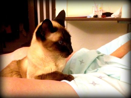 Photo 2013-06-30 9 46 15 PM